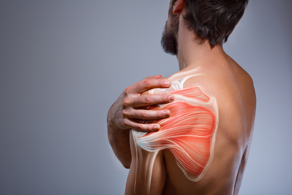 The Role of Physical Therapy in Shoulder Pain Recovery